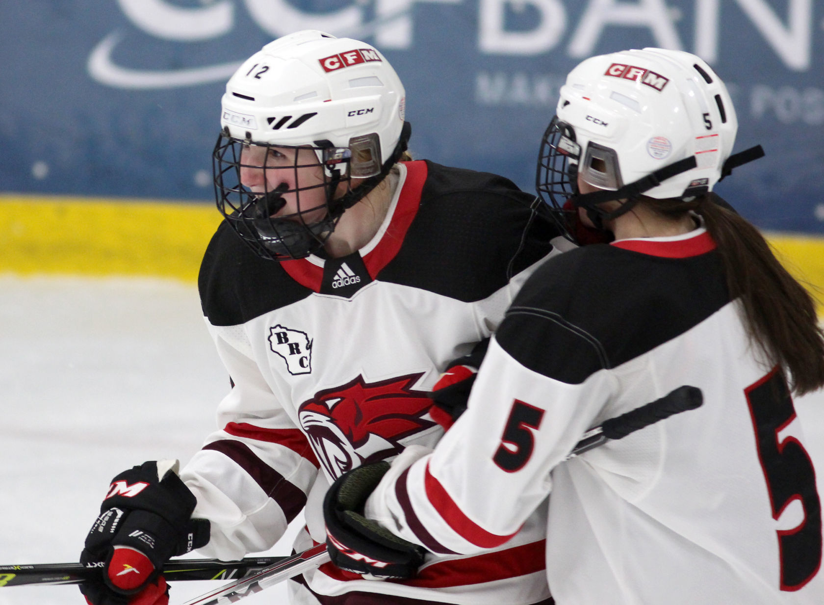 Medford at Chippewa Falls/Menomonie girls hockey 1-30-20
